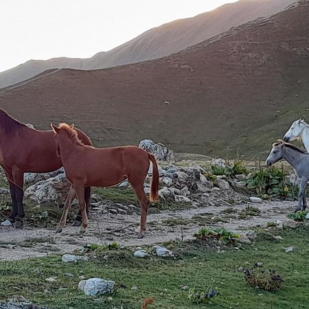 Hotel Ushba Hill ميستيا المظهر الخارجي الصورة