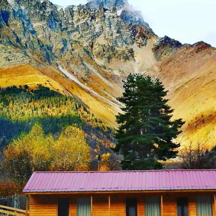 Hotel Ushba Hill ميستيا المظهر الخارجي الصورة