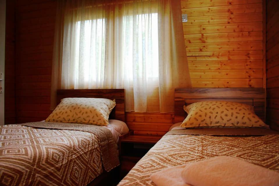 Hotel Ushba Hill ميستيا المظهر الخارجي الصورة